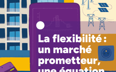 La flexibilité : Un marché prometteur, une équation fragile