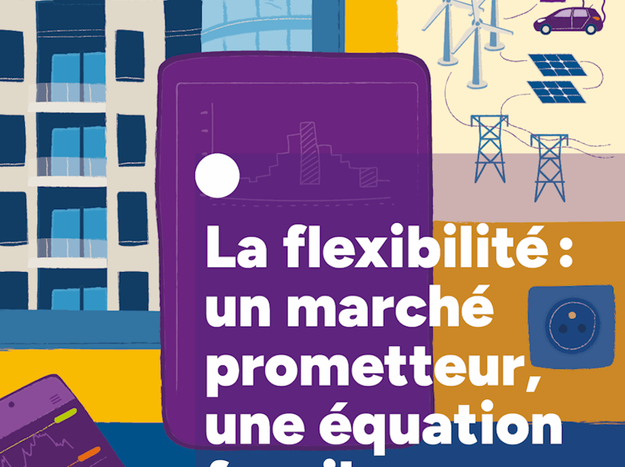La flexibilité : Un marché prometteur, une équation fragile
